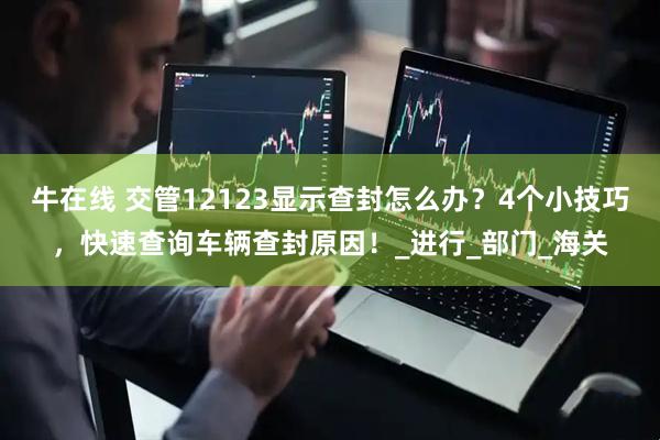 牛在线 交管12123显示查封怎么办？4个小技巧，快速查询车辆查封原因！_进行_部门_海关